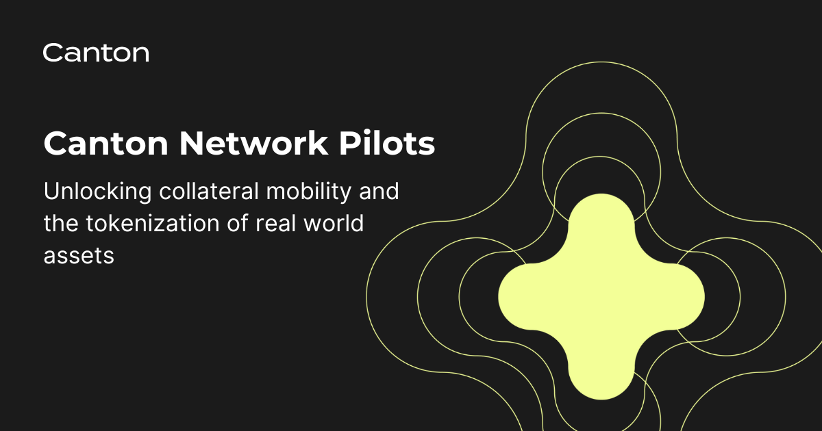 Canton Network Pilots